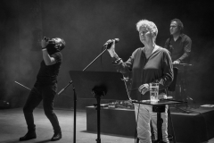 Anne Clark // Parkbühne Geyserhaus, Leipzig 2025 © Jana Groß