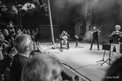 Anne Clark // Parkbühne Geyserhaus, Leipzig 2025 © Jana Groß